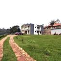 Kigali Fully furnished house for rent in Rebero 