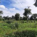 Agricultural land for sale in Bugesera.